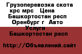 Грузоперевозка скота крс мрс › Цена ­ 45 - Башкортостан респ., Оренбург г. Авто » Услуги   . Башкортостан респ.